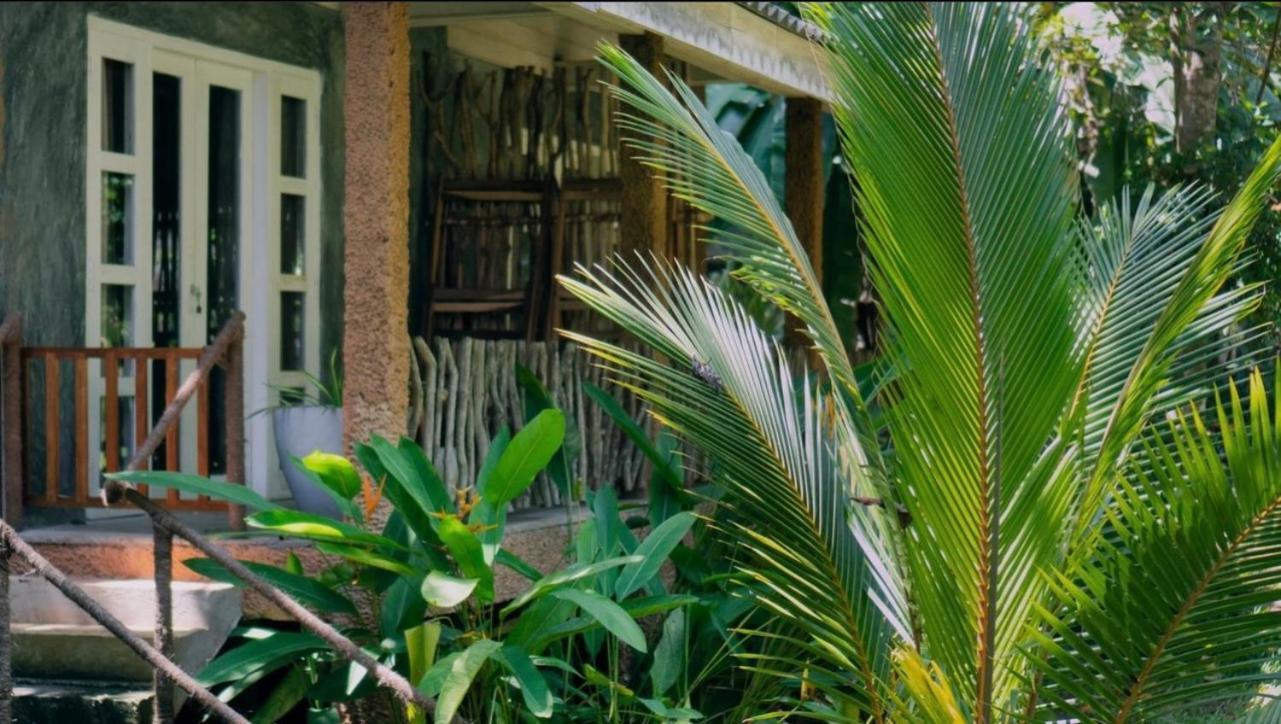 Into The Blue - Yoga Included & Walk To 3 Beaches Tangalle Exterior photo